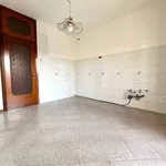 Rent 5 bedroom apartment of 110 m² in Ponte San Nicolò