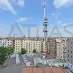 Pronajměte si 4 ložnic/e byt o rozloze 250 m² v Prague