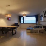 Rent 1 bedroom apartment of 57 m² in Brno