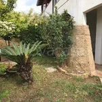 Rent 2 bedroom house of 50 m² in Isola di Capo Rizzuto