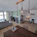 Rent 3 bedroom apartment of 54 m² in Indische buurt