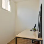 Rent 2 bedroom apartment of 66 m² in Alkmaar