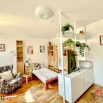 Rent 1 bedroom apartment in Jablonec nad Nisou