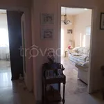 Rent 3 bedroom apartment of 75 m² in Collegno