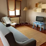 Rent 4 bedroom apartment of 100 m² in Colorno