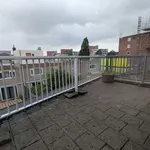 Rent 4 bedroom house of 105 m² in Rotterdam