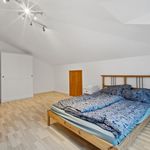 Miete 1 Schlafzimmer wohnung von 67 m² in Dresden