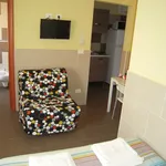 Rent 3 bedroom apartment in Bologna