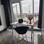 Rent 2 bedroom apartment of 104 m² in berlin