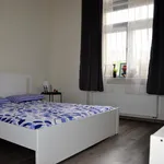 Rent 1 bedroom apartment in Prague