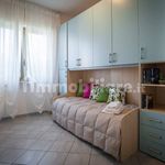 Rent 3 bedroom apartment of 60 m² in Cagliari