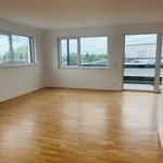 Miete 1 Schlafzimmer wohnung von 149 m² in Hanau