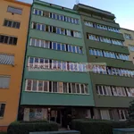 Rent 1 bedroom apartment of 38 m² in Brno