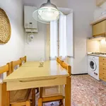 Rent 4 bedroom apartment of 100 m² in Firenze