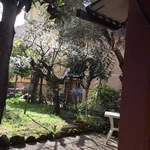 Rent 1 bedroom apartment of 41 m² in Roma