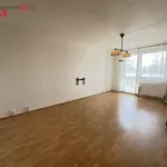 Rent 4 bedroom apartment in Vsetín