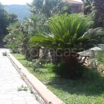 Rent 3 bedroom apartment of 85 m² in Andora