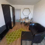 Rent 2 bedroom apartment of 58 m² in budapest