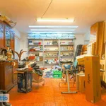 Rent 6 bedroom house of 580 m² in Rome