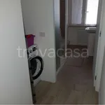 Rent 3 bedroom apartment of 100 m² in Piacenza