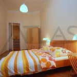 Rent 3 bedroom apartment of 160 m² in Prague