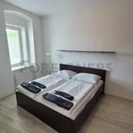 Pronajměte si 1 ložnic/e byt o rozloze 44 m² v Brno