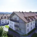 Rent 1 bedroom apartment of 65 m² in Fétigny