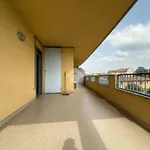 Rent 2 bedroom apartment of 65 m² in Novara