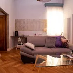 Rent 3 bedroom apartment of 70 m² in Pistoia