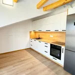 Rent 1 bedroom apartment of 120 m² in Olomouc