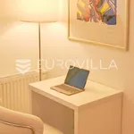 Rent 1 bedroom apartment of 58 m² in Zagreb