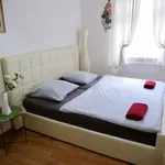 Rent 1 bedroom apartment of 59 m² in Teplice