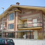 Rent 2 bedroom apartment of 38 m² in Orbassano