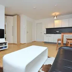 Rent 1 bedroom apartment in stuttgart