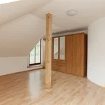 Rent 1 bedroom house of 320 m² in Prague