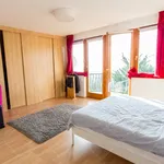 Rent 3 bedroom apartment of 250 m² in Budapest