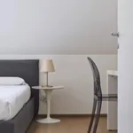 Rent 1 bedroom apartment in Milan