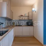 Rent 3 bedroom apartment of 80 m² in Forte dei Marmi