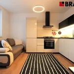 Rent 2 bedroom apartment of 35 m² in Brno