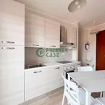 Rent 2 bedroom apartment of 50 m² in Turin