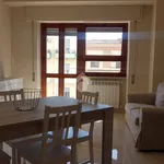 Rent 1 bedroom apartment of 10 m² in Palermo