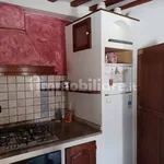 Rent 3 bedroom apartment of 70 m² in Pisa