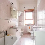 Rent 1 bedroom apartment of 42 m² in Roma