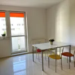 Rent 2 bedroom apartment of 37 m² in Poznan