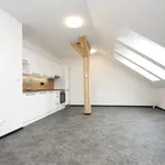 Rent 2 bedroom apartment of 50 m² in Kolín