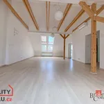 Rent 3 bedroom apartment of 97 m² in Ostrava