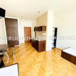 Rent 1 bedroom apartment of 28 m² in Krakow