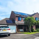 Rent 4 bedroom house in South West England