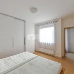 Rent 2 bedroom apartment in Capital City of Prague