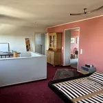 Miete 4 Schlafzimmer wohnung von 164 m² in Sonnenstein